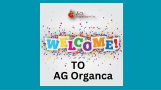 AG Organica Pine Oil Manufacturer & Wholesale Supplier
