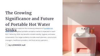 The Growing Significance and Future of Portable Hot Water Sinks
