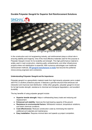 Polyester Geogrid
