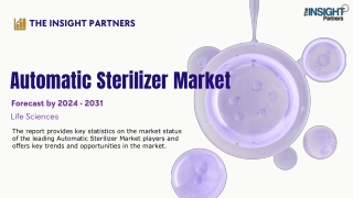 the insight partners