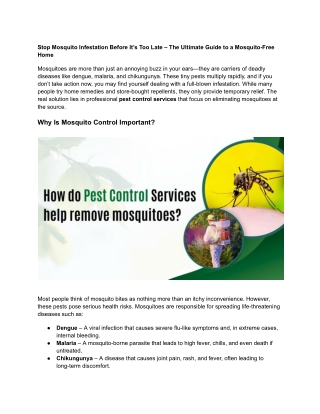 stop mosquito infestation before it s too late
