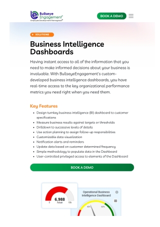 BI dashboards