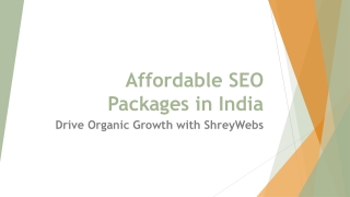 Affordable SEO Packages in India
