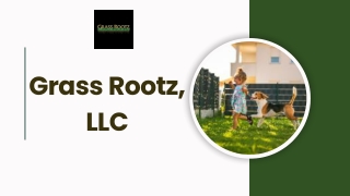 grass rootz llc