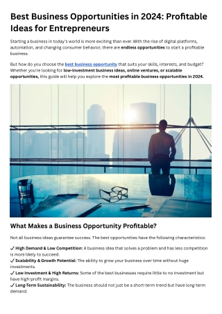 best business opportunities in 2024 profitable