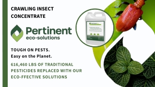 Crawling Insect Concentrate