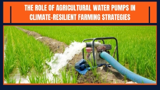 Efficient Agricultural Water Pump Systems