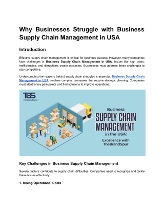 Why Businesses Struggle with Business Supply Chain Management in USA