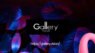 https gallery vision