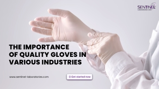 Why Quality Gloves Matter in Every Sector?
