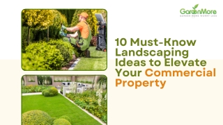 10 Must-Know Landscaping Ideas to Elevate Your Commercial Property