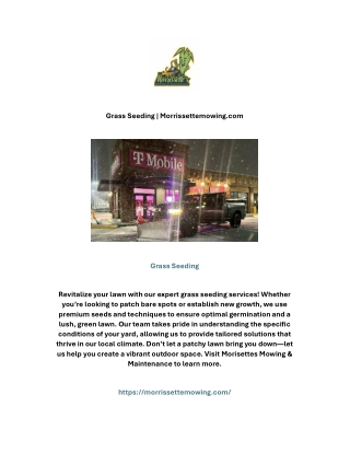 Grass Seeding | Morrissettemowing.com