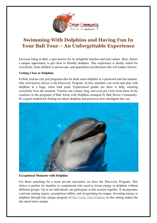 Swimming With Dolphins and Having Fun In Your Bali Tour – An Unforgettable Experience