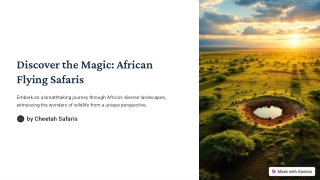 Conclusion: Your African Adventure Awaits