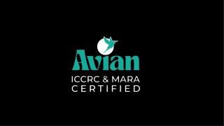 Avian Global Mar 2025