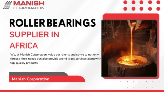 Roller Bearings Supplier in Africa