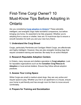 first time corgi owner 10 must know tips before