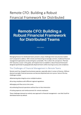 remote cfo building a robust financial framework