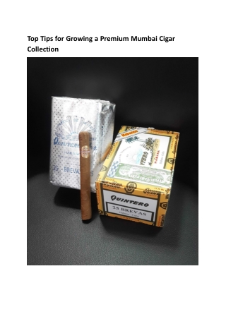 Top Tips for Growing a Premium Mumbai Cigar Collection