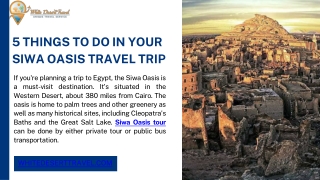 5 Things to Do in Your Siwa Oasis Travel Trip