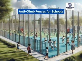 How Anti-Climb Fences Enhance School Security – Must-Read Guide!