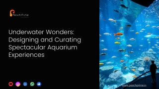2. Underwater-Wonders-Designing-and-Curating-Spectacular-Aquarium-Experiences