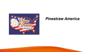 pinestraw america