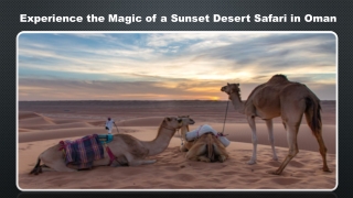 Experience the Magic of a Sunset Desert Safari in Oman