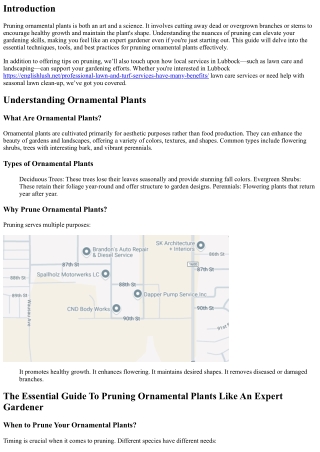 ”The Essential Guide To Pruning Ornamental Plants Like An Expert Gardener.
