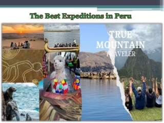 The Best Expeditions in Peru