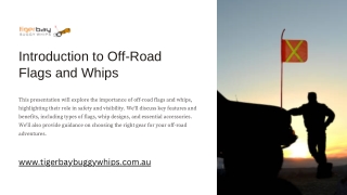 Tiger Bay Buggy Whips: Your Partner in Vehicle Safety Worldwide