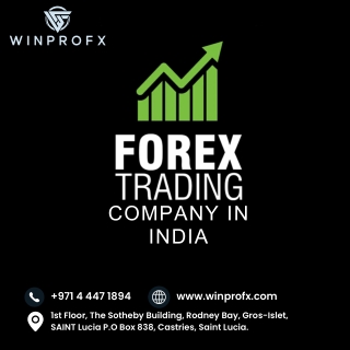 Revolutionizing Markets: The Role of a Forex Trading Company in India