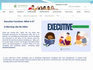 Executive Functions What is it?