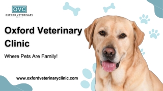 Oxford Pet Grooming Before & After an Outdoors Vacation with Family Pets