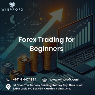 Forex Trading for Beginners: A Global Perspective on Financial Markets