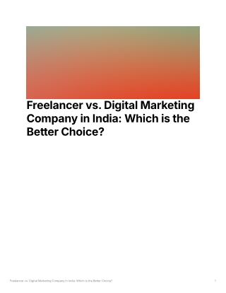 Freelancer vs Digital Marketing Company in India - Which to Choose?