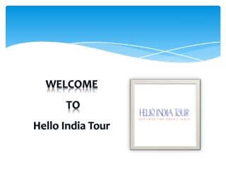 One Day Jaipur Tour from Delhi by Car | Hello India Tour Europe