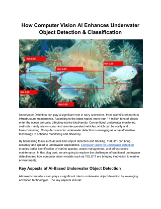 How Computer Vision AI Enhances Underwater Object Detection & Classification