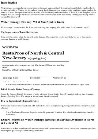 Expert Insights on Water Damage Restoration Services Available in North & Centra
