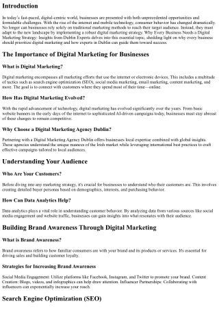 Why Every Business Needs a Digital Marketing Strategy: Insights from Dublin Expe