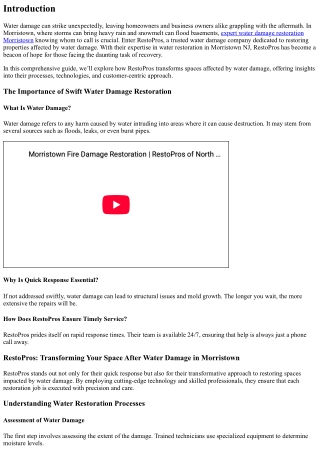 “RestoPros: Transforming Your Space After Water Damage in Morristown”
