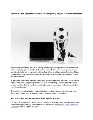 Best White Label Sportsbook Providers for Startups_ Key Insights and Recommendations