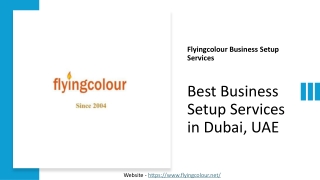 Best Business Setup Services in Dubai, UAE - Flyingcolour Business Setup Service