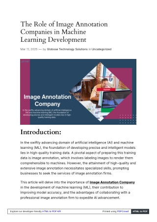 The Role of Image Annotation Companies in Machine Learning Development