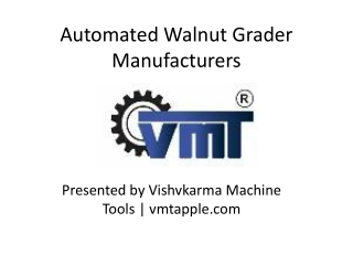 automated walnut grader manufacturers