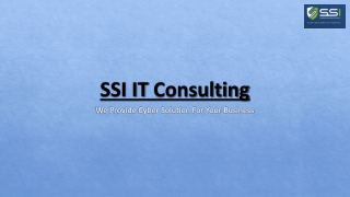 ssi it consulting