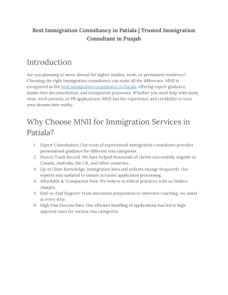 Immigration Consultant in Patiala | MNII - Best Immigration Consultancy