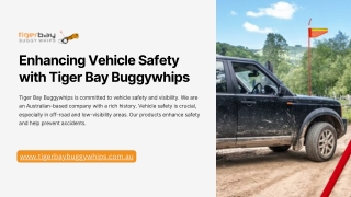 Tiger Bay Buggy Whips: Your Partner in Vehicle Safety Worldwide
