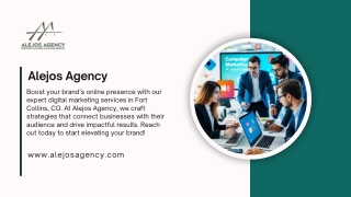 Grow Fast with a Top PPC Agency New York Today
