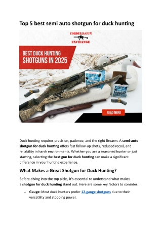 Top 5 best semi auto shotgun for duck hunting